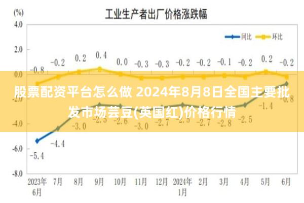 股票配资平台怎么做 2024年8月8日全国主要批发市场芸豆(英国红)价格行情