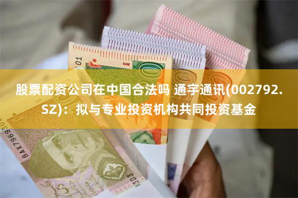 股票配资公司在中国合法吗 通宇通讯(002792.SZ)：拟与专业投资机构共同投资基金