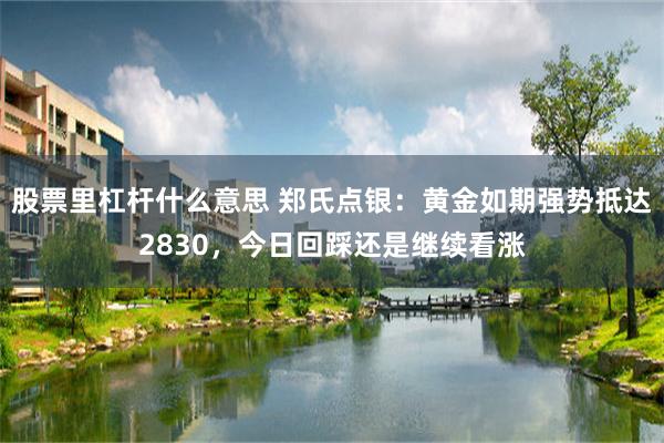 股票里杠杆什么意思 郑氏点银：黄金如期强势抵达2830，今日回踩还是继续看涨