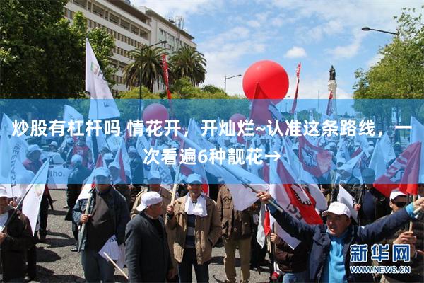 炒股有杠杆吗 情花开，开灿烂~认准这条路线，一次看遍6种靓花→