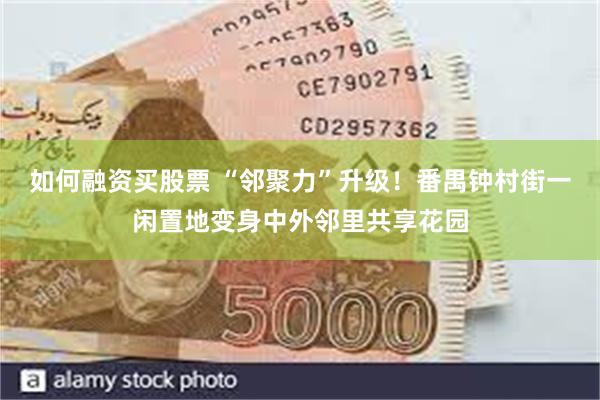 如何融资买股票 “邻聚力”升级！番禺钟村街一闲置地变身中外邻里共享花园