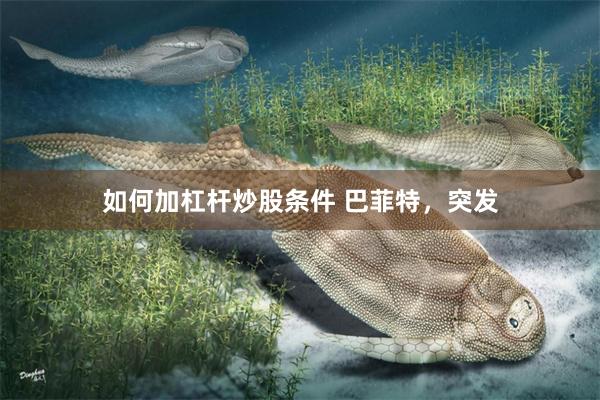 如何加杠杆炒股条件 巴菲特，突发