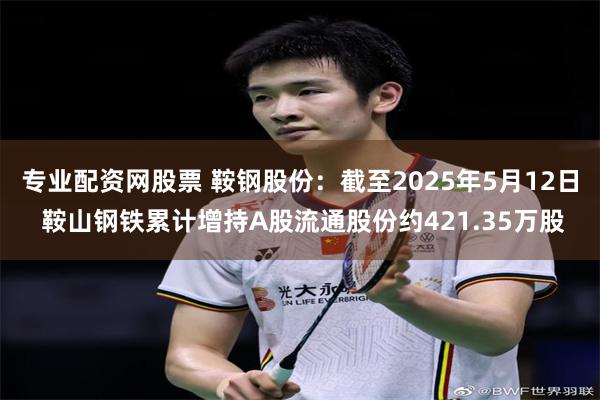 专业配资网股票 鞍钢股份：截至2025年5月12日 鞍山钢铁累计增持A股流通股份约421.35万股