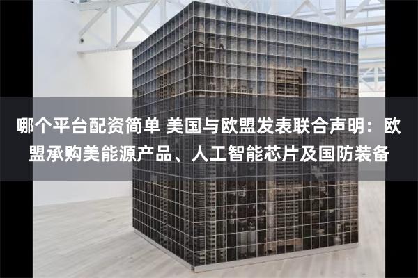 哪个平台配资简单 美国与欧盟发表联合声明：欧盟承购美能源产品、人工智能芯片及国防装备